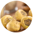 Maca